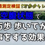 【糖尿病　食事】空腹状態で1万歩歩いてから色々な食事をしてみた結果！