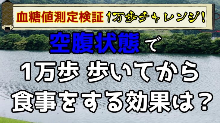 【糖尿病　食事】空腹状態で1万歩歩いてから色々な食事をしてみた結果！