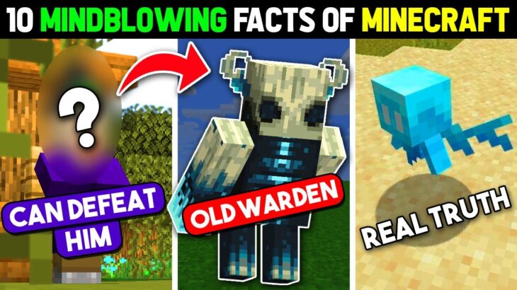 10 MIND-BLOWING Facts 😱 About Minecraft 1.19 Update 😍 | Part 1 – [MCL NFT Cricket Game]