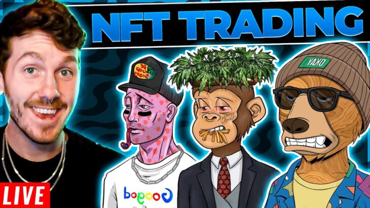 IS THE BULL RUN BACK? LIVE TRADING NFTs FOR 100X PROFITS! UPCOMING SOLANA NFTs TO BUY | JERZY NFT