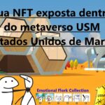 Possibilidade de ter sua própria NFT exposta dentro do metaverso USM (Estados Unidos de Marte) 🔥