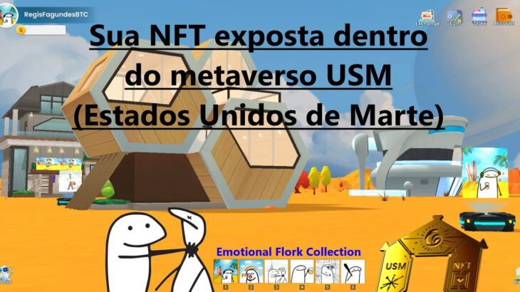 Possibilidade de ter sua própria NFT exposta dentro do metaverso USM (Estados Unidos de Marte) 🔥