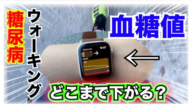 【糖尿病 Type1食事】高血糖状態からのウォーキング！糖尿病どこまで血糖値下がってくれる？Apple Watchでモニタリング！