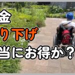 年金繰り下げは本当にお得か？【障害年金で糖尿病生活】VLOG10