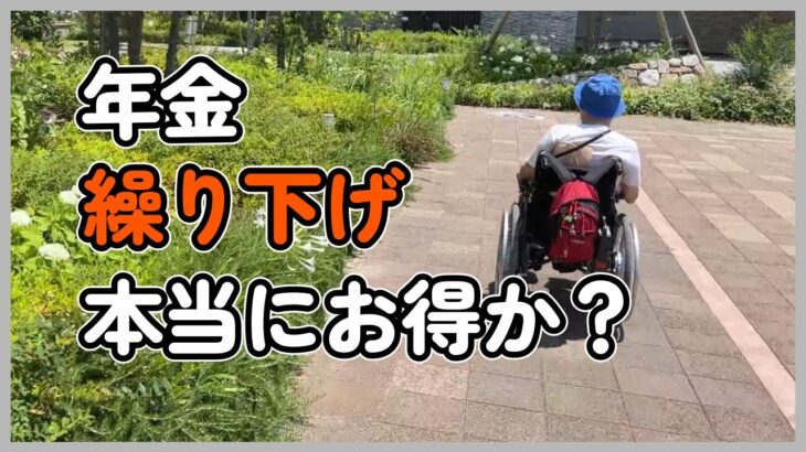 年金繰り下げは本当にお得か？【障害年金で糖尿病生活】VLOG10