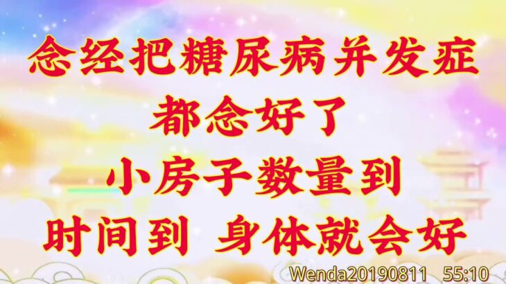 卢台长开示：念经把糖尿病并发症都念好了；小房子数量到、时间到，身体就会好      Wenda20190811   55:10