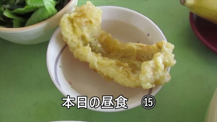 糖尿患者食事　１５　私の心得『#糖尿病患者』『#食事療法』『#hba1c 』