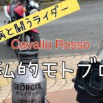 ［悲報続編2］超私的モトブログ　糖尿病と闘うライダー　8月定期検診編　　　　　#motovlog #ホーネット250 #糖尿病