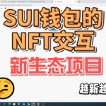 【撸毛日记491期】SUI钱包的NFT交互