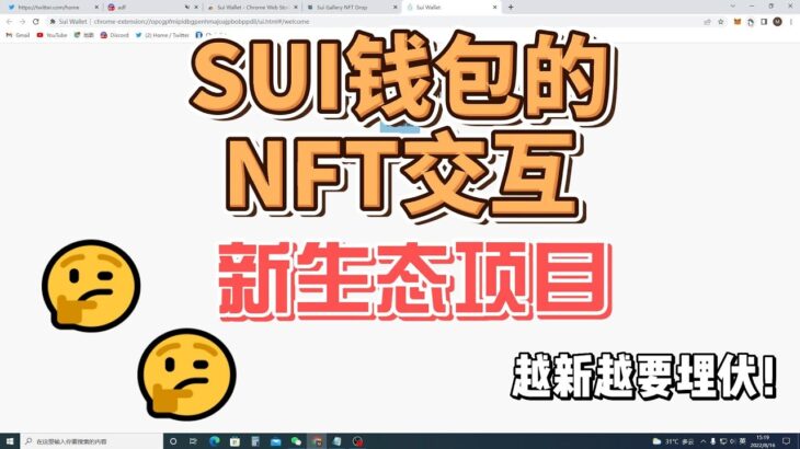 【撸毛日记491期】SUI钱包的NFT交互