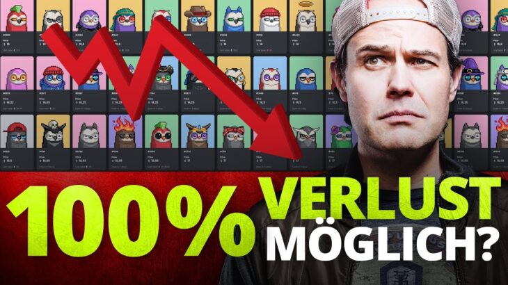 Moonbirds NFT – 100% Verlust möglich? Jetzt handeln!