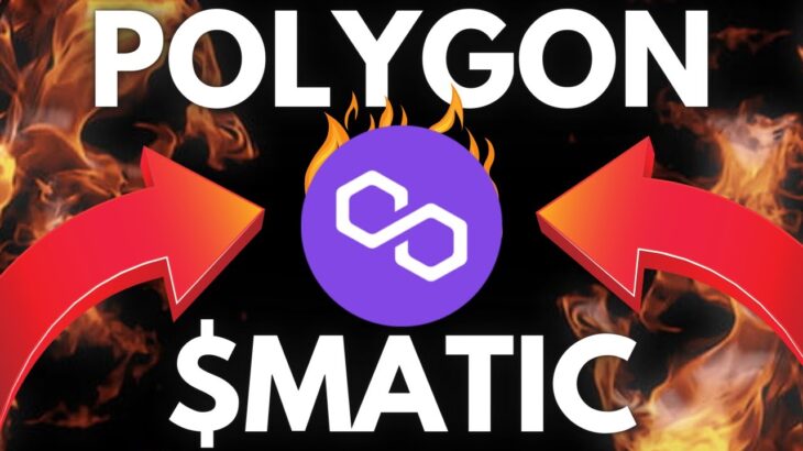 Polygon zkEVM Road To Mainnet & HUGE Polygon NFT Sale! – Polygon MATIC Update