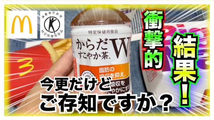 【糖尿病 Type1食事】マクドナルドのビックマックセットを糖尿病が食べてからだすこやか茶を飲んだ血糖値推移が衝撃的！！糖尿病の方は是非チェックを【比較検証動画】