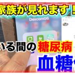 【糖尿病 Type1食事】糖尿病の寝ている間の血糖値推移気になりますよね！DexcomG6フォローアプリなら離れていても見れます！姉から見た私の血糖値推移…