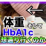 【糖尿病 Type1食事】急性発症１型糖尿病だけど１年HbA1c６.２以下をキープしているそんな私の１ヶ月の食事はこんな感じ♪そしてDexcomG6のGMI予想は６.３