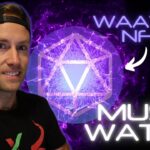 What you NEED to know about the WAATSA NFT | MUST WATCH