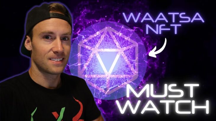 What you NEED to know about the WAATSA NFT | MUST WATCH