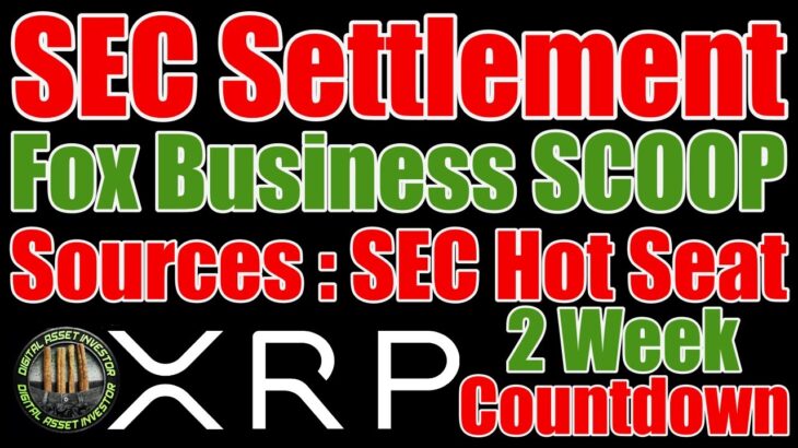 🚨XRP Settlement🚨Ripple CBDCs & XLS-20 NFT Standard Coming