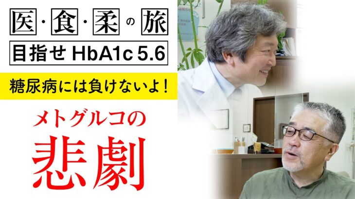 【糖尿病予防ドキュメンタリー】【糖尿病には負けないよ！】白くま堂　メトグルコの悲劇【白くま堂 presents 医・食・柔の旅】