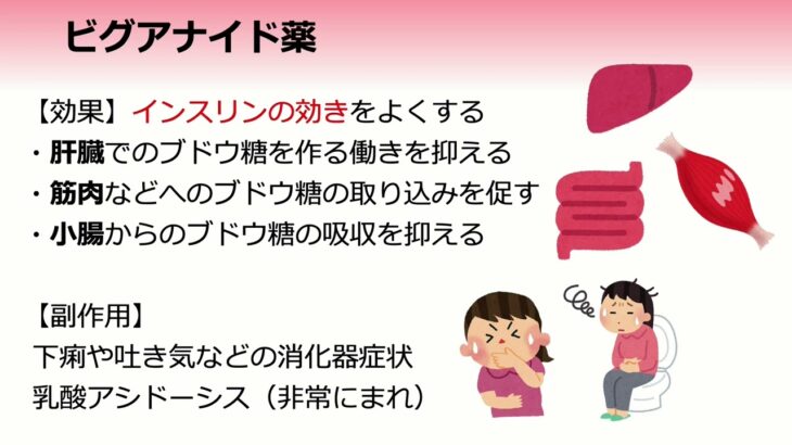 川崎市立多摩病院・糖尿病教室　～内服薬編～