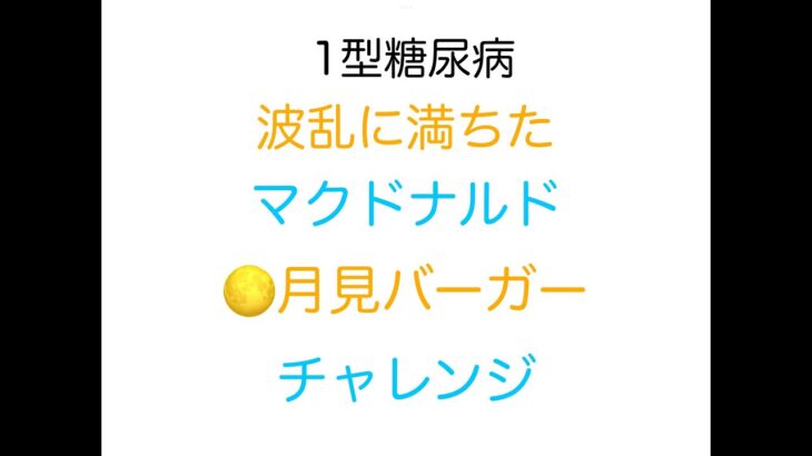 【1型糖尿病】波乱に満ちた月見バーガーチャレンジ