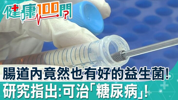 什麼! 人體中竟有可以治糖尿病的益生菌?! 國內最新研究: 除了治糖尿病還可治肥胖和憂鬱!@健康我+1