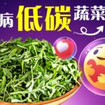 糖尿病可吃什麼？14種糖尿病可以吃的低碳蔬菜