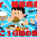 【2ch面白いスレ】ワイ糖尿病！ここ3日間の食事さらすww【 ゆっくり解説 】