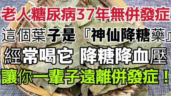 老人糖尿病37年無併發症，這個葉子堪稱是『神仙降糖藥』！經常喝它，血糖降了，血壓也平穩了，還能降血脂、防癌抗癌！讓你一輩子遠離糖尿病併發症！ ！ ！