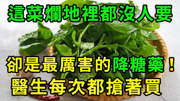 這菜很不起眼，卻是糖尿病的「天敵」！早上喝一杯，7血糖立馬從15降到4.0，從此血糖血壓全都穩了，三高嚇得不敢來【養生常談】