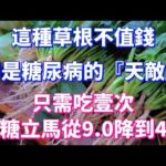 這種草根不值錢，卻是糖尿病的『天敵』，只需吃一次，血糖立馬從9.0降到4.8，從此遠離糖尿病，還可以預防三高