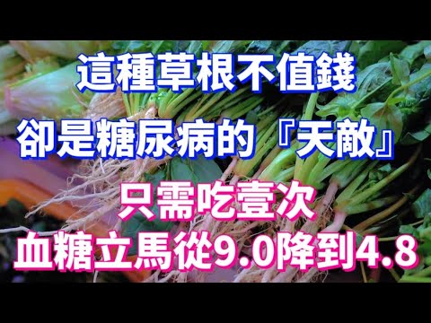 這種草根不值錢，卻是糖尿病的『天敵』，只需吃一次，血糖立馬從9.0降到4.8，從此遠離糖尿病，還可以預防三高