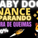 BABY DOGE AGORA BINANCE PREPARANDO CARTEIRA DE QUEIMAS,NFT E MAIS UMA POSTAGEM 10.000% #babydogecoin