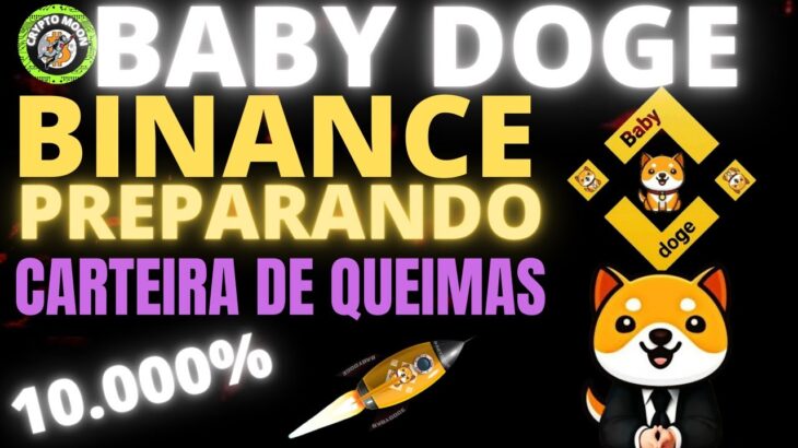 BABY DOGE AGORA BINANCE PREPARANDO CARTEIRA DE QUEIMAS,NFT E MAIS UMA POSTAGEM 10.000% #babydogecoin