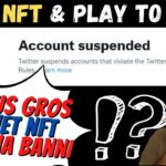 BAN TWITTER du + gros projet NFT SOLANA  – Actu NFT & PlayToEarn #70