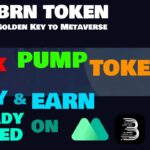 BRN Token | BRN Metaverse | Metaverse, GameFI, GameNFT & Web3 | NFT Marketplace | Metaverse Avatars