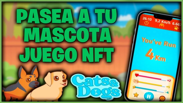 🐶CATS & DOGS: NUEVO JUEGO NFT DE MASCOSTAS + 10.000$ EN GIVEWAY + PREVENTA 9 DE SEPTIEMBRE🐶