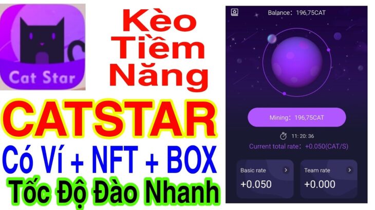 CATSTAR ĐÀO 0,050 CAT 1 GIÂY CÓ NFT + VÍ + TỐC ĐỘ ĐÀO NHANH TƯƠNG LAI THÀNH MEME COIN | Kiếm Tiền