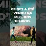 CE NFT A ÉTÉ VENDU 6,6 MILLIONS D’EUROS #NFT #beeple #opensea