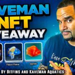 First EVER KaveMan NFT Giveaway! (Entries Open)