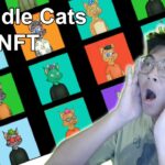 [GIVEAWAY] The Idle Cats NFT – Own Your Own NFT At An Affordable Price | Most Profitable Investment!