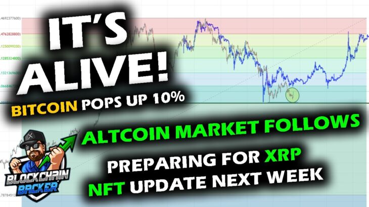 IT’S ALIVE! Bitcoin Price Chart Pops with Altcoin Market Following, XRP NFT Process, Ethereum Merge.