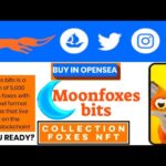 MOONFOXES BITS UNIQUE NFT COLLECTIONS TRUSTABLE PLATFORM |ETH BLOCKCHAIN…