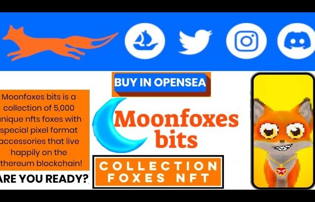 MOONFOXES BITS UNIQUE NFT COLLECTIONS TRUSTABLE PLATFORM |ETH BLOCKCHAIN…