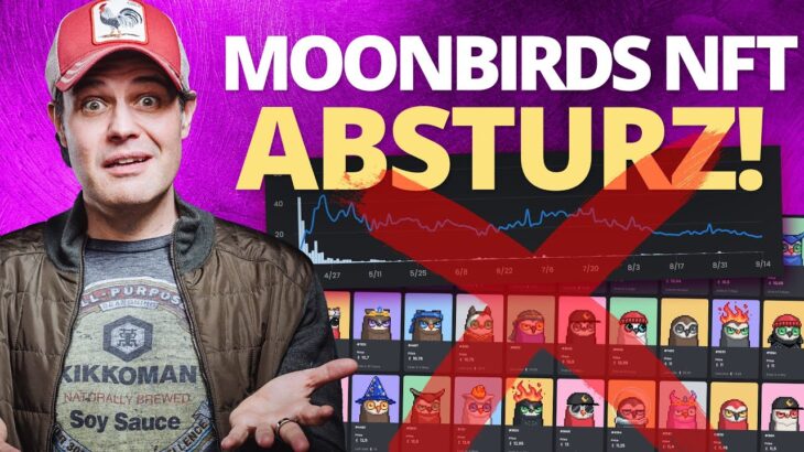 Moonbirds NFT Absturz – was ist da los? Jetzt alles verkaufen?