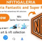 NfitiGaleria.Com Nft Project Review || Pinksale Coming Soon || Participate Now! 2022 Project.