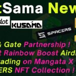 Polkadot News: Bitcountry partners Gate | Bifrost | TUR Trading | Spacers NFT Collection !