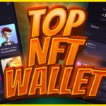 The All-In-One NFT Wallet – Zelus