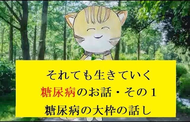 糖尿病のお話し　その１　今回は大枠の話