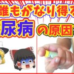 【ゆっくり解説】誰でも糖尿病になる可能性！！知らないと死に直結！？恐ろしい原因を追求！【健康で長生き】